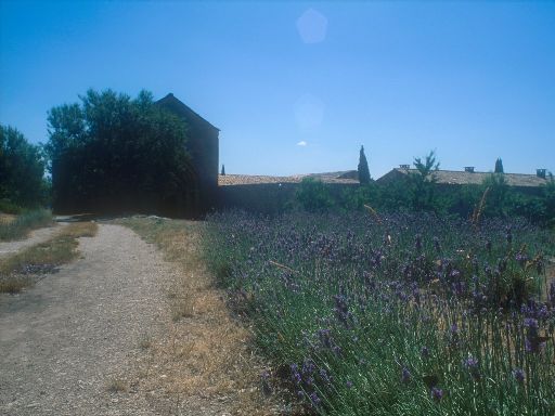 ImageImage0277.web.jpg