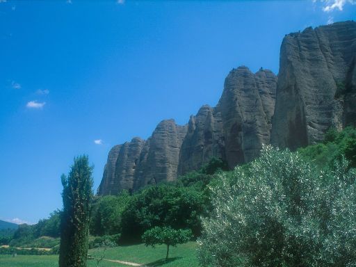 ImageImage0282.web.jpg