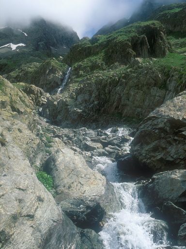 ImageImage0294.web.jpg