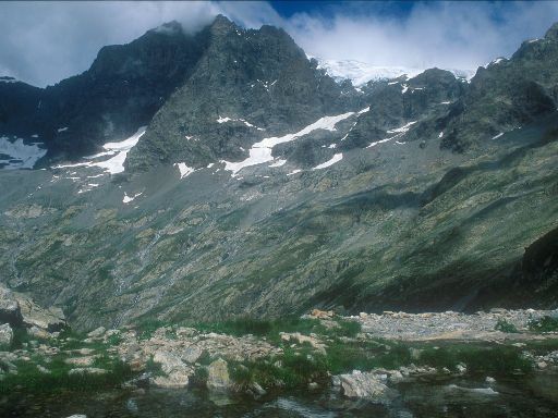 ImageImage0296.web.jpg
