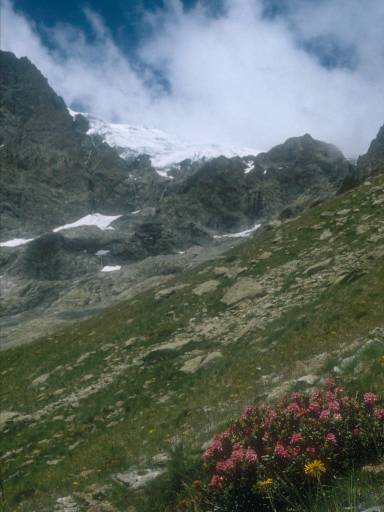 [thumbnail of Picture 1]