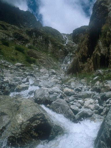 ImageImage0305.web.jpg