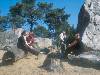 [thumbnail of Picture 1]