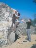 [thumbnail of Picture 2]
