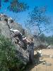 [thumbnail of Picture 4]