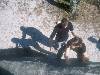 [thumbnail of Picture 6]