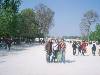 [thumbnail of Picture 23]