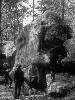[thumbnail of Picture 1]