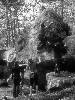 [thumbnail of Picture 2]