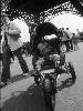 [thumbnail of Picture 8]