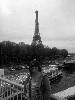 [thumbnail of Picture 14]