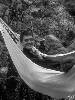 [thumbnail of Picture 28]