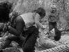 [thumbnail of Picture 33]