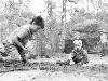 [thumbnail of Picture 1]