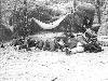 [thumbnail of Picture 4]