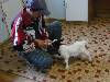 [thumbnail of Picture 14]