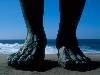 [thumbnail of Picture 13]