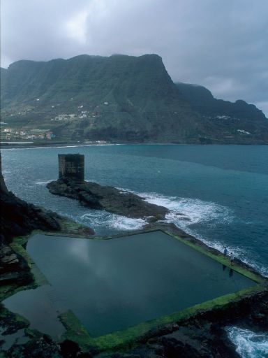 Image2020.web.jpg