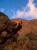 [thumbnail of Picture 9]