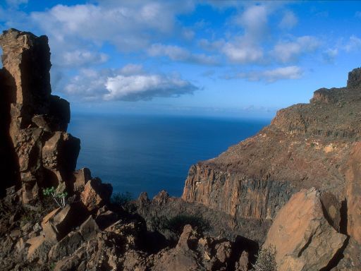 Image2052.web.jpg