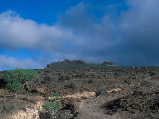 Image2058.web.jpg