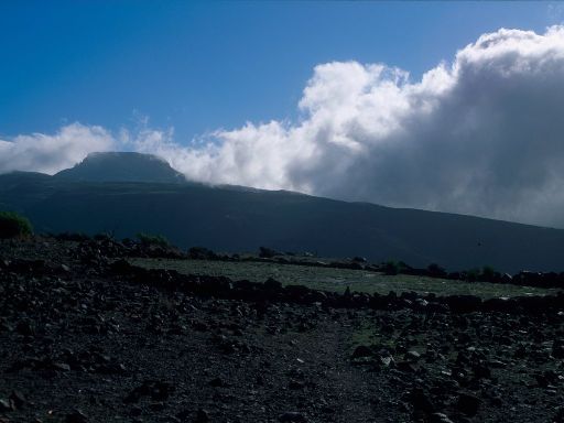 Image2059.web.jpg