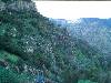 [thumbnail of Picture 20]