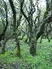 [thumbnail of Picture 6]