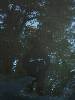 [thumbnail of Picture 7]