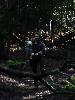 [thumbnail of Picture 8]