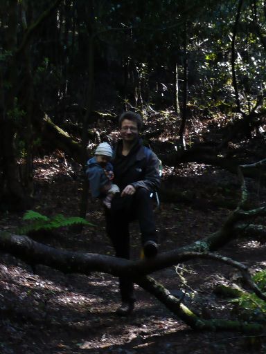 Image10340.web.jpg