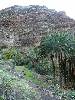 [thumbnail of Picture 19]