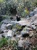 [thumbnail of Picture 21]