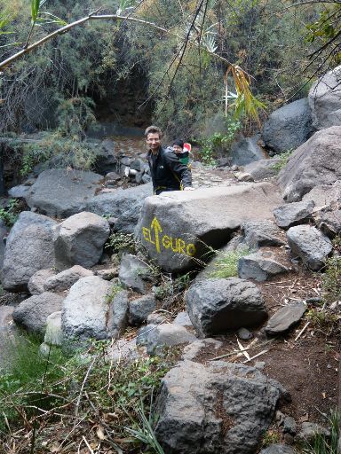 Image10359.web.jpg