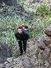 [thumbnail of Picture 22]
