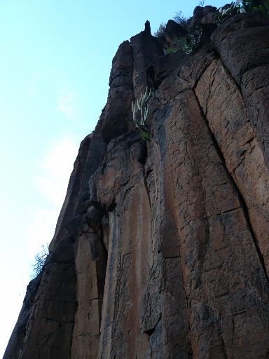 Image10367.web.jpg