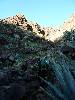 [thumbnail of Picture 28]