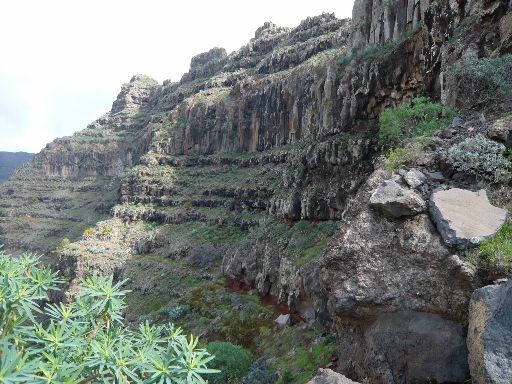 Image10404.web.jpg