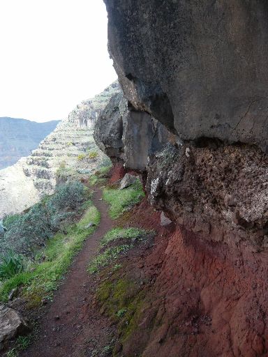Image10405.web.jpg