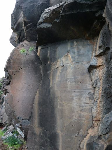 Image10407.web.jpg