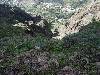 [thumbnail of Picture 40]