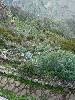 [thumbnail of Picture 64]