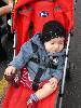 [thumbnail of Picture 71]