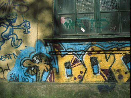 Image6.web.jpg