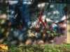 [thumbnail of Picture 11]