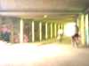 [thumbnail of Picture 23]