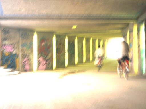 Image29.web.jpg