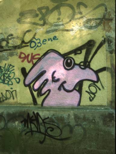 Image6.web.jpg