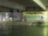 [thumbnail of Picture 6]