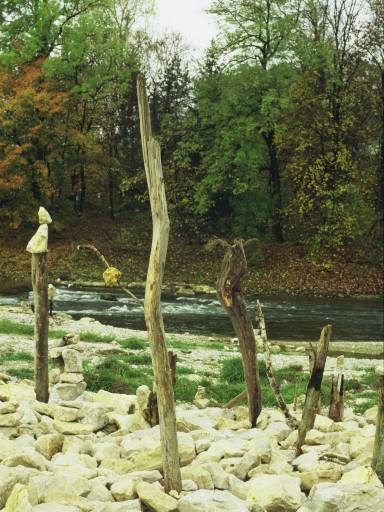 Image0036.web.jpg